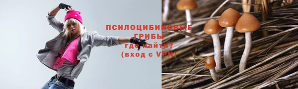 стаф Семилуки