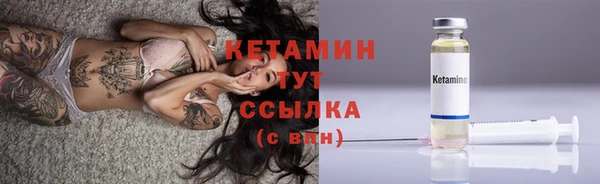 стаф Семилуки