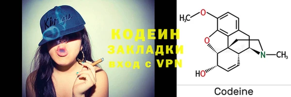 стаф Семилуки