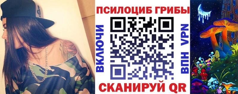 Псилоцибиновые грибы мицелий  наркошоп  Бикин 